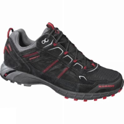 Mens T Element Low GTX Shoe Mens T Element Low GTX Shoe